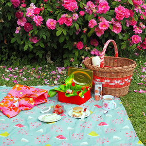 Afternoon Tea Picnic Inspiration