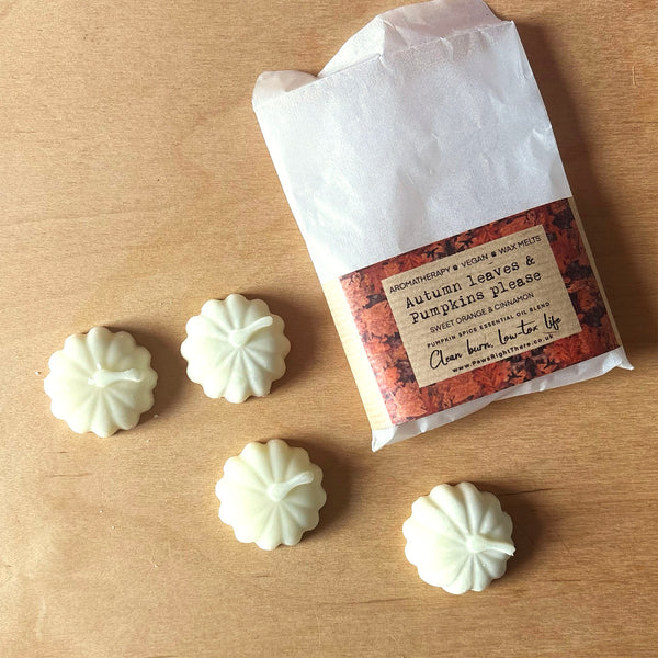 The Autumn joy box - Sew your own decoration kit with seasonal treats