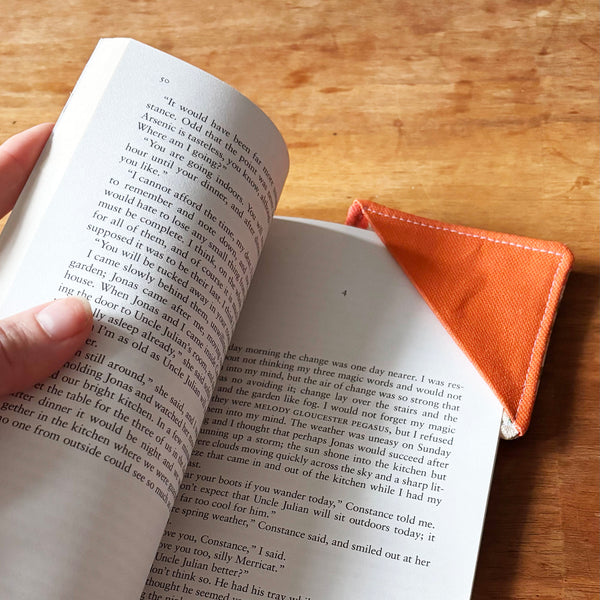 The Autumn joy box - Sew your own decoration kit with seasonal treats