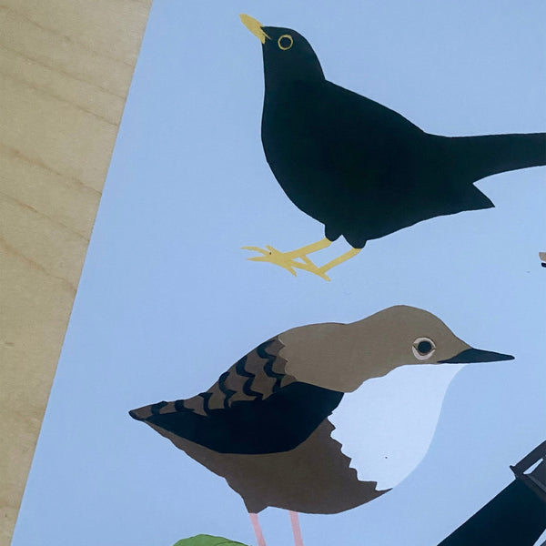 A4 giclee print | bird spotter