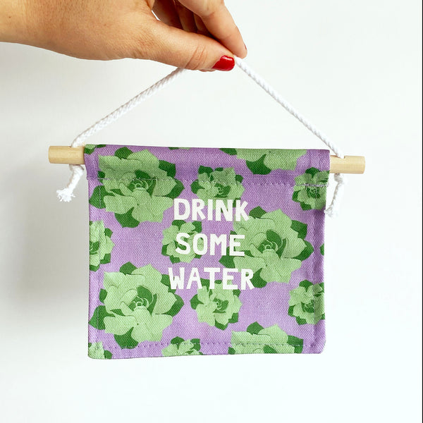 'Drink some water' reminder | mini wall hanging | succulents