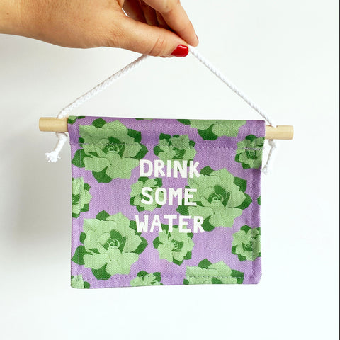 'Drink some water' reminder | mini wall hanging | succulents